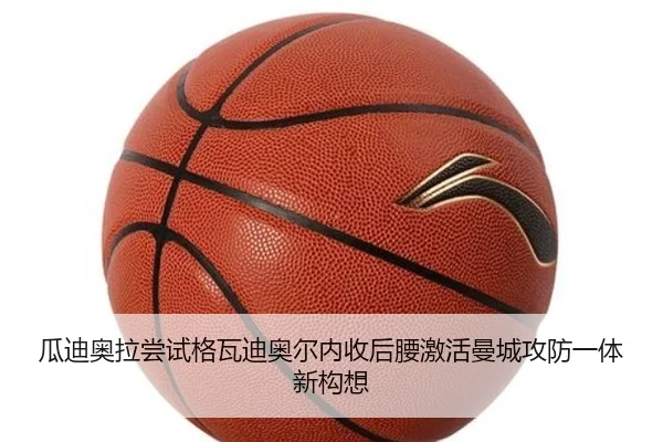 img_1782377970176_1724_1_519.jpg